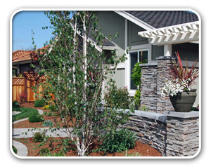 landscaping design san jose ca evergreen landscape concrete offers 