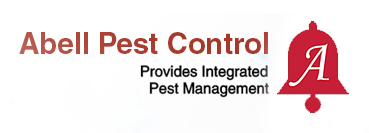 Abell Pest Control Raised Awareness for World Honey Bee Day - Pest Control  Technology