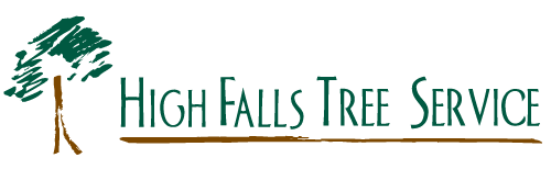 High Falls Tree