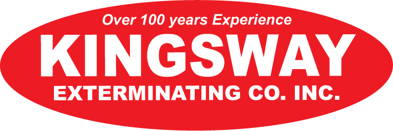 Kingsway Exterminating Co. Inc Logo