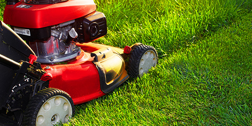 Lawn Mowing Grass